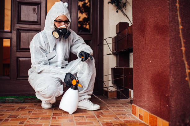Reliable Ant Control contractor in Pine Hills, FL by Nex Pest Control